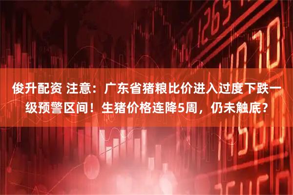 俊升配资 注意：广东省猪粮比价进入过度下跌一级预警区间！生猪价格连降5周，仍未触底？