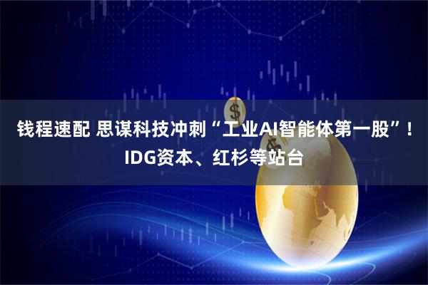 钱程速配 思谋科技冲刺“工业AI智能体第一股”！IDG资本、红杉等站台