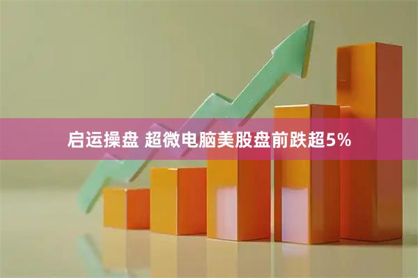 启运操盘 超微电脑美股盘前跌超5%