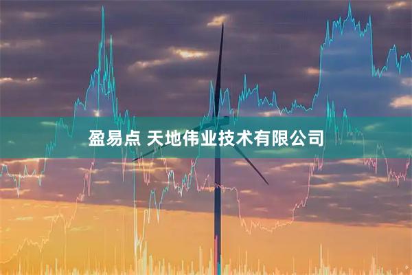 盈易点 天地伟业技术有限公司