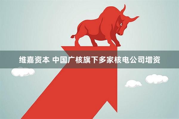 维嘉资本 中国广核旗下多家核电公司增资