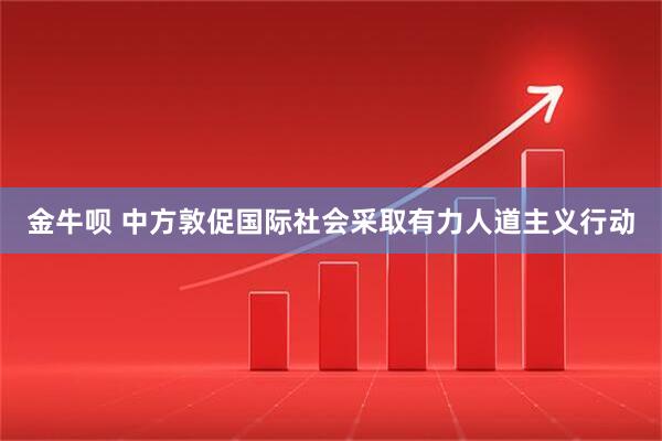 金牛呗 中方敦促国际社会采取有力人道主义行动