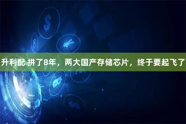 升利配 拼了8年，两大国产存储芯片，终于要起飞了
