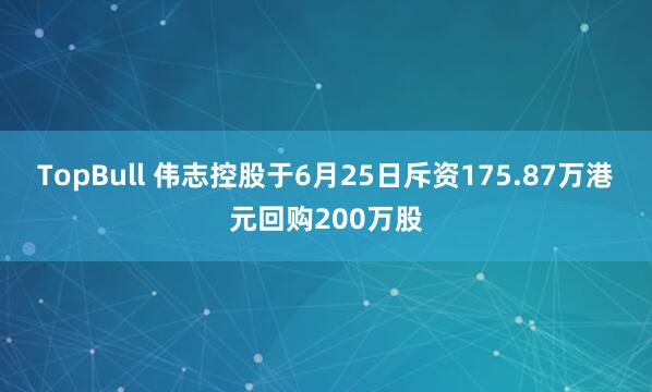 TopBull 伟志控股于6月25日斥资175.87万港元回购200万股