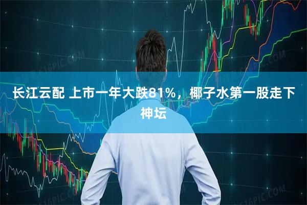 长江云配 上市一年大跌81%，椰子水第一股走下神坛